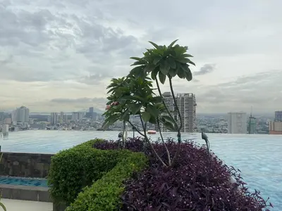 a palm tree sitting on the edge of a swimming pool at Apartment 28 in Manila
