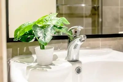 a bathroom sink with a potted plant on it at Gramercy Makati Studio with Free Pool Gym and Sauna in Manila