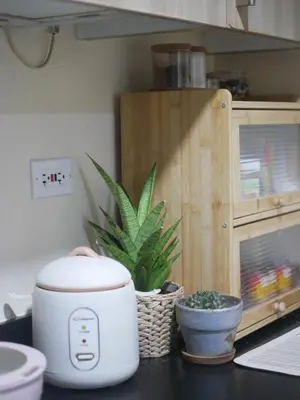 a toaster sitting on a counter next to a plant at Whimsy Stay in Manila