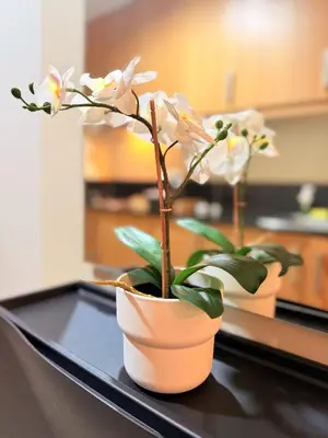 two plants in a pot on a table at Comfy Stays in Shell Residences by OneGuestPlace in Manila