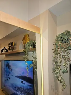 a shelf with plants on it with a tv at Elivion Staycations in McKinley Hill BGC with Pool near Venice Mall in Manila