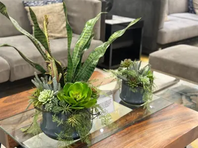 three potted plants on a coffee table in a living room at S Residences Family Room 512 by Prime Stay MOA in Manila