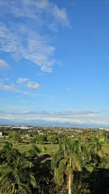 a group of palm trees in a field with a blue sky at Your Cozy Space in Stanford Suites 3 Brgy Inchican Silang Cavite in Silang