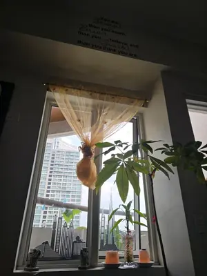 a window with a curtain and a plant in a room at Mandaluyong HomeBest Place to Stay! in Manila