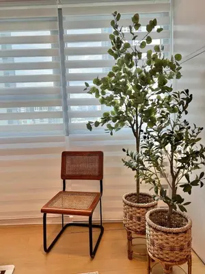 a chair and a bench next to two trees at Charming 2-BR Condo in BGC in Manila