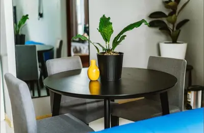 a black table with a potted plant on it at Spacious 1-BR Condo near BGC w Pool and Gym in Manila