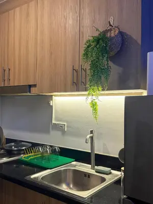 a kitchen sink with a plant hanging from the cabinets at Euphoria Suites Shore 2 Tower 1 Residences in Manila