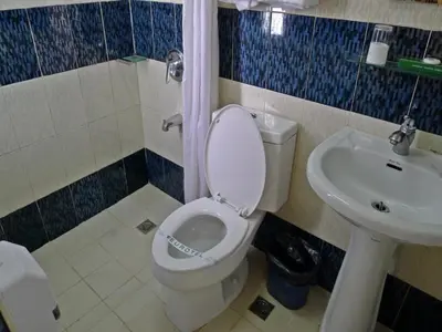 a bathroom with a toilet and a sink at Eurotel Makati in Manila