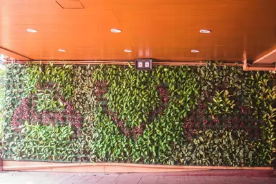 a green wall with plants on it in a building at Hotel Ava Malate in Manila