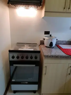 a kitchen with a stove and a pot on the counter at Modern Urban Living - Resort Amenities in Manila