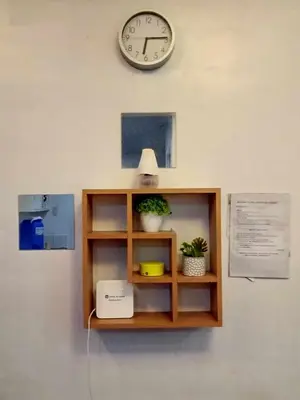 a clock on a wall above a shelf with plants at Mia and Miguel's House in General Trias