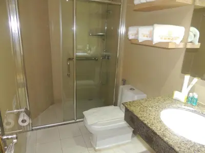 a bathroom with a shower and a toilet and a sink at Dela Chambre Hotel in Manila