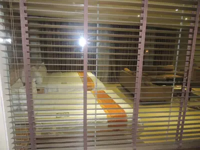 a dog sitting in a window looking through the blinds at Dela Chambre Hotel in Manila