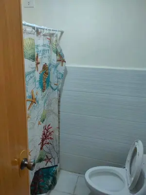 a bathroom with a shower curtain with a toilet at Sunmiles Condominium - 2BR unit M26 in Calamba