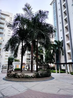 a palm tree in a courtyard in a city at RQUI CONDOTEL NEWPORT PASAY in Manila