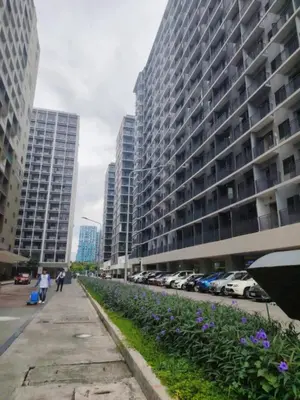 a city street with tall buildings and purple flowers at Shore One Condotel At Mall of Asia, Philippines in Manila