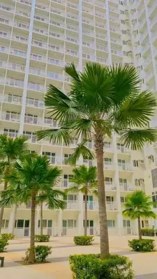 a large building with palm trees in front of it at Shore Residence D10 Near Mall Of Asia- Airport in Manila