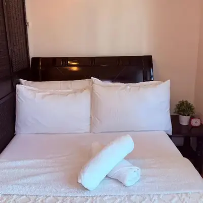 Cozy Condo in Ermita Manila near St Lukes Medical Center and US Embassy